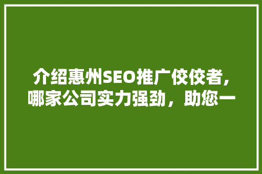 介绍惠州SEO推广佼佼者,哪家公司实力强劲，助您一臂之力！