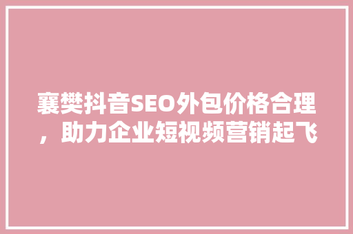 襄樊抖音SEO外包价格合理，助力企业短视频营销起飞