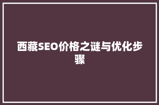 西藏SEO价格之谜与优化步骤