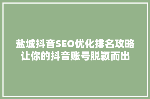 盐城抖音SEO优化排名攻略让你的抖音账号脱颖而出