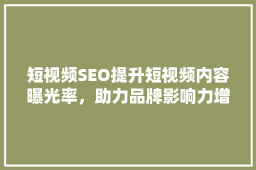 短视频SEO提升短视频内容曝光率，助力品牌影响力增长
