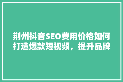 荆州抖音SEO费用价格如何打造爆款短视频，提升品牌影响力