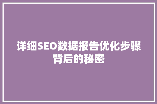 详细SEO数据报告优化步骤背后的秘密