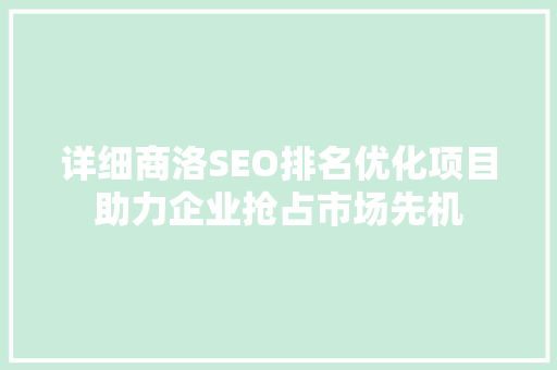 详细商洛SEO排名优化项目助力企业抢占市场先机
