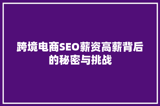 跨境电商SEO薪资高薪背后的秘密与挑战