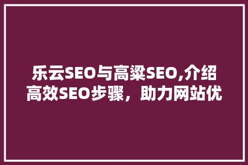 乐云SEO与高粱SEO,介绍高效SEO步骤，助力网站优化  第1张