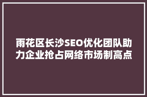雨花区长沙SEO优化团队助力企业抢占网络市场制高点