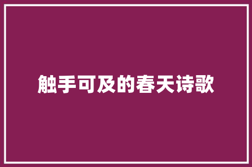 黄冈SEO公司推荐火星SEO的独特魅力与卓越表现  第1张