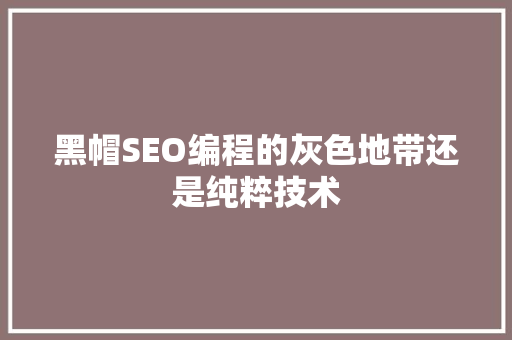 黑帽SEO编程的灰色地带还是纯粹技术