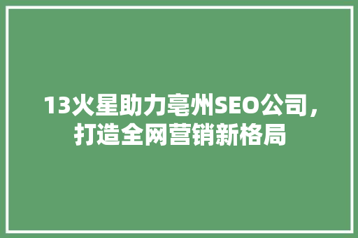 13火星助力亳州SEO公司，打造全网营销新格局