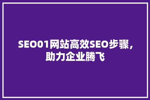 SEO01网站高效SEO步骤，助力企业腾飞