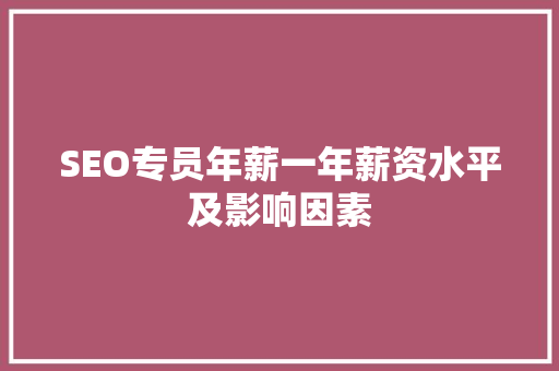 SEO专员年薪一年薪资水平及影响因素