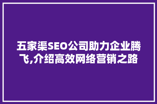 五家渠SEO公司助力企业腾飞,介绍高效网络营销之路
