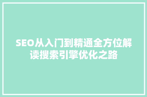 SEO从入门到精通全方位解读搜索引擎优化之路