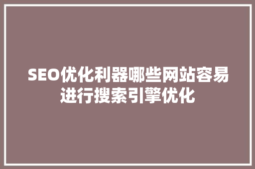 SEO优化利器哪些网站容易进行搜索引擎优化