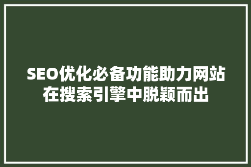 SEO优化必备功能助力网站在搜索引擎中脱颖而出