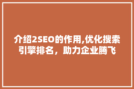 介绍2SEO的作用,优化搜索引擎排名，助力企业腾飞