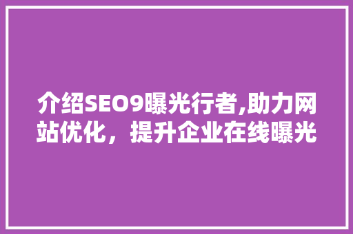 介绍SEO9曝光行者,助力网站优化，提升企业在线曝光度