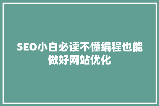 SEO小白必读不懂编程也能做好网站优化