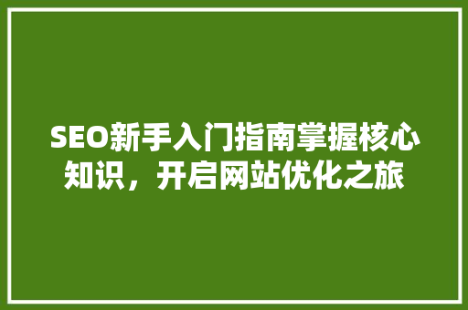SEO新手入门指南掌握核心知识，开启网站优化之旅  第1张