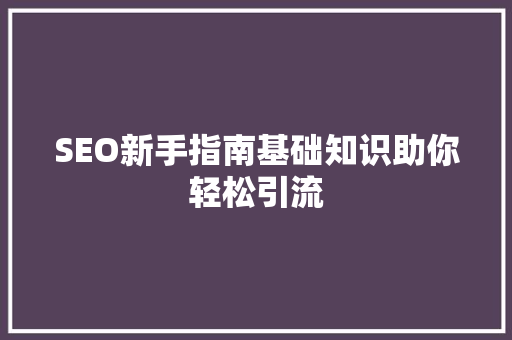 SEO新手指南基础知识助你轻松引流