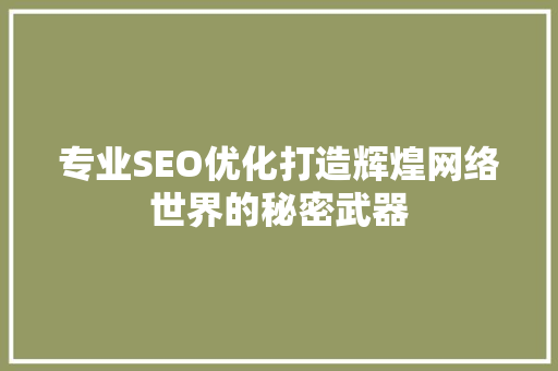 专业SEO优化打造辉煌网络世界的秘密武器