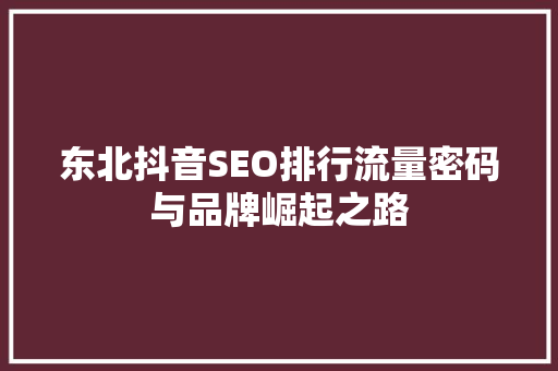 东北抖音SEO排行流量密码与品牌崛起之路