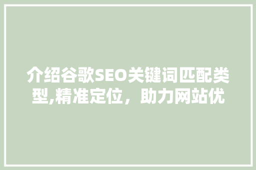 介绍谷歌SEO关键词匹配类型,精准定位，助力网站优化