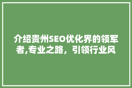 介绍贵州SEO优化界的领军者,专业之路，引领行业风向标