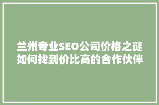 兰州专业SEO公司价格之谜如何找到价比高的合作伙伴  第1张