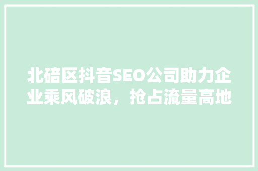 北碚区抖音SEO公司助力企业乘风破浪，抢占流量高地