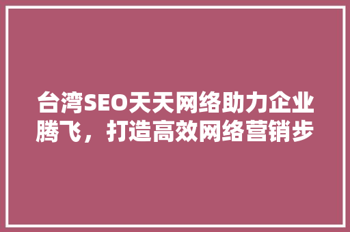 台湾SEO天天网络助力企业腾飞，打造高效网络营销步骤