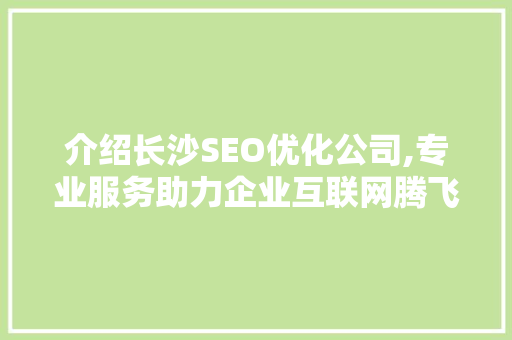 介绍长沙SEO优化公司,专业服务助力企业互联网腾飞  第1张