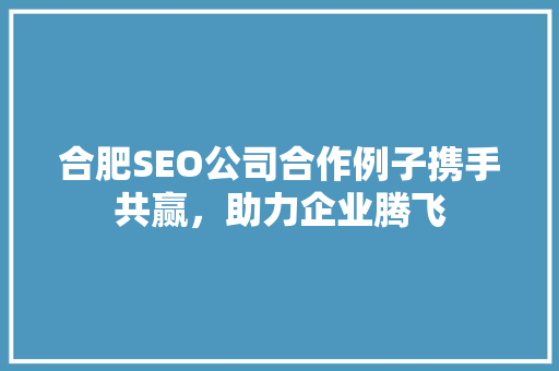 合肥SEO公司合作例子携手共赢，助力企业腾飞  第1张
