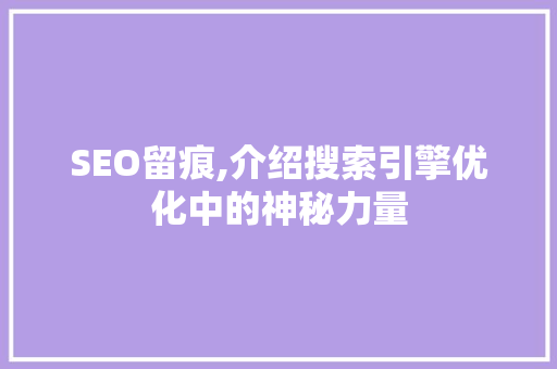 SEO留痕,介绍搜索引擎优化中的神秘力量