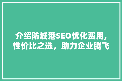 介绍防城港SEO优化费用,性价比之选，助力企业腾飞