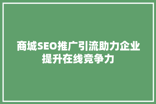 商城SEO推广引流助力企业提升在线竞争力