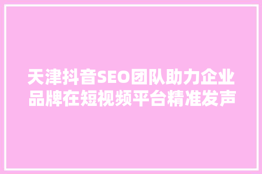 天津抖音SEO团队助力企业品牌在短视频平台精准发声