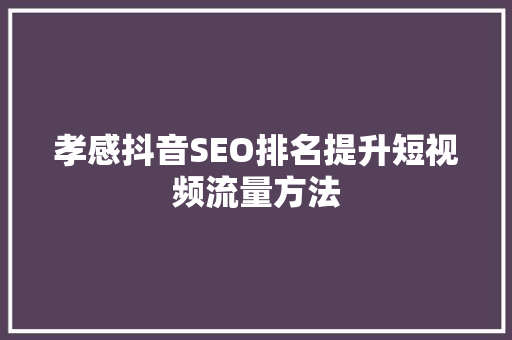 孝感抖音SEO排名提升短视频流量方法