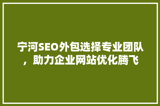 宁河SEO外包选择专业团队，助力企业网站优化腾飞
