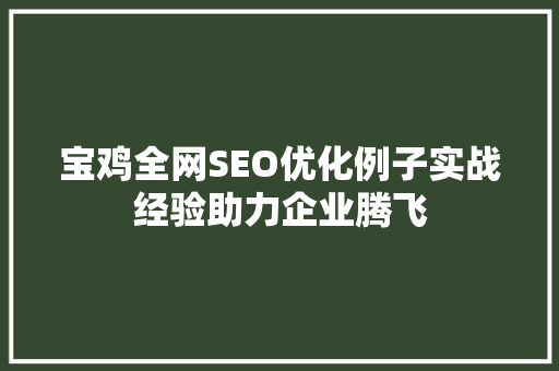 宝鸡全网SEO优化例子实战经验助力企业腾飞