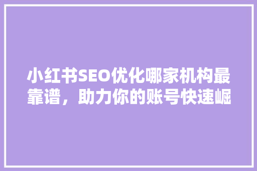 小红书SEO优化哪家机构最靠谱，助力你的账号快速崛起