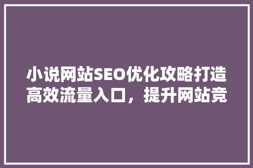 小说网站SEO优化攻略打造高效流量入口，提升网站竞争力