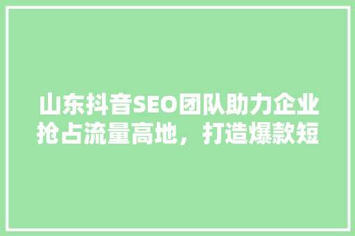 山东抖音SEO团队助力企业抢占流量高地，打造爆款短视频