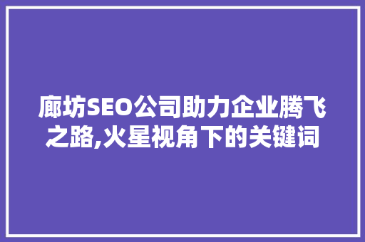 廊坊SEO公司助力企业腾飞之路,火星视角下的关键词优化步骤