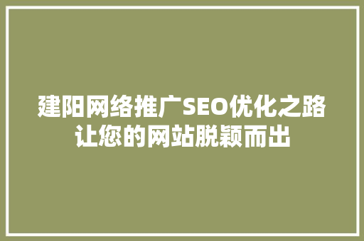 建阳网络推广SEO优化之路让您的网站脱颖而出