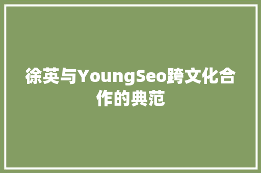徐英与YoungSeo跨文化合作的典范