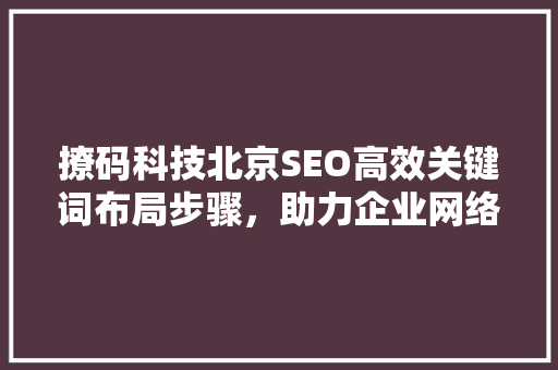 撩码科技北京SEO高效关键词布局步骤，助力企业网络营销