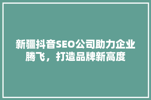 新疆抖音SEO公司助力企业腾飞，打造品牌新高度