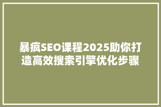 暴疯SEO课程2025助你打造高效搜索引擎优化步骤